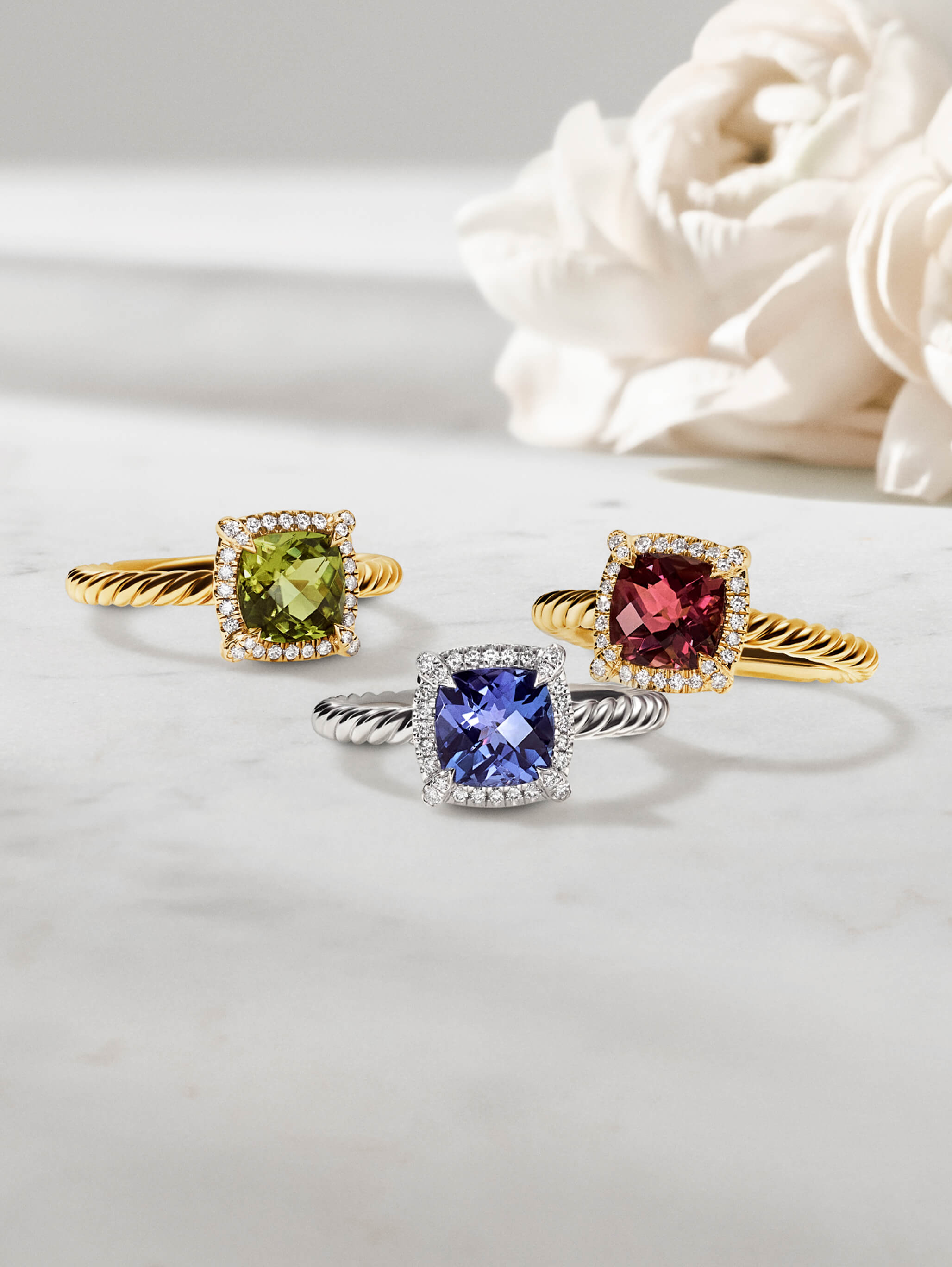 Shop These Designs image number 0