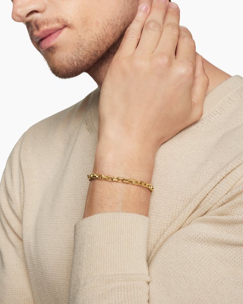 Mens Streamline® Link Bracelet in 18K Yellow Gold, 5.5mm