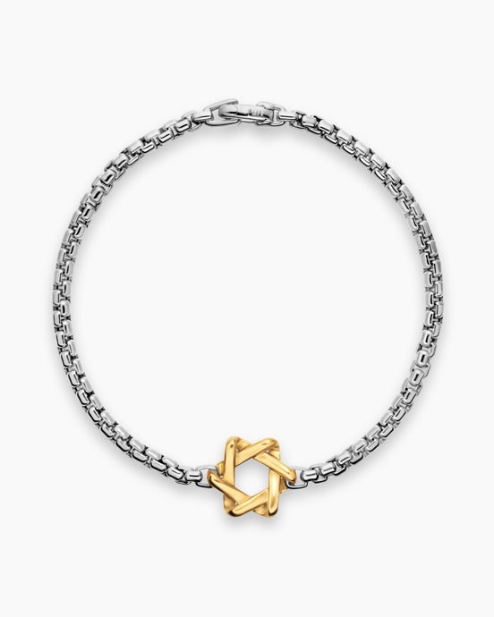 Star of David Station Bracelet in Sterling Silver with 14K Yellow Gold, 3.6mm