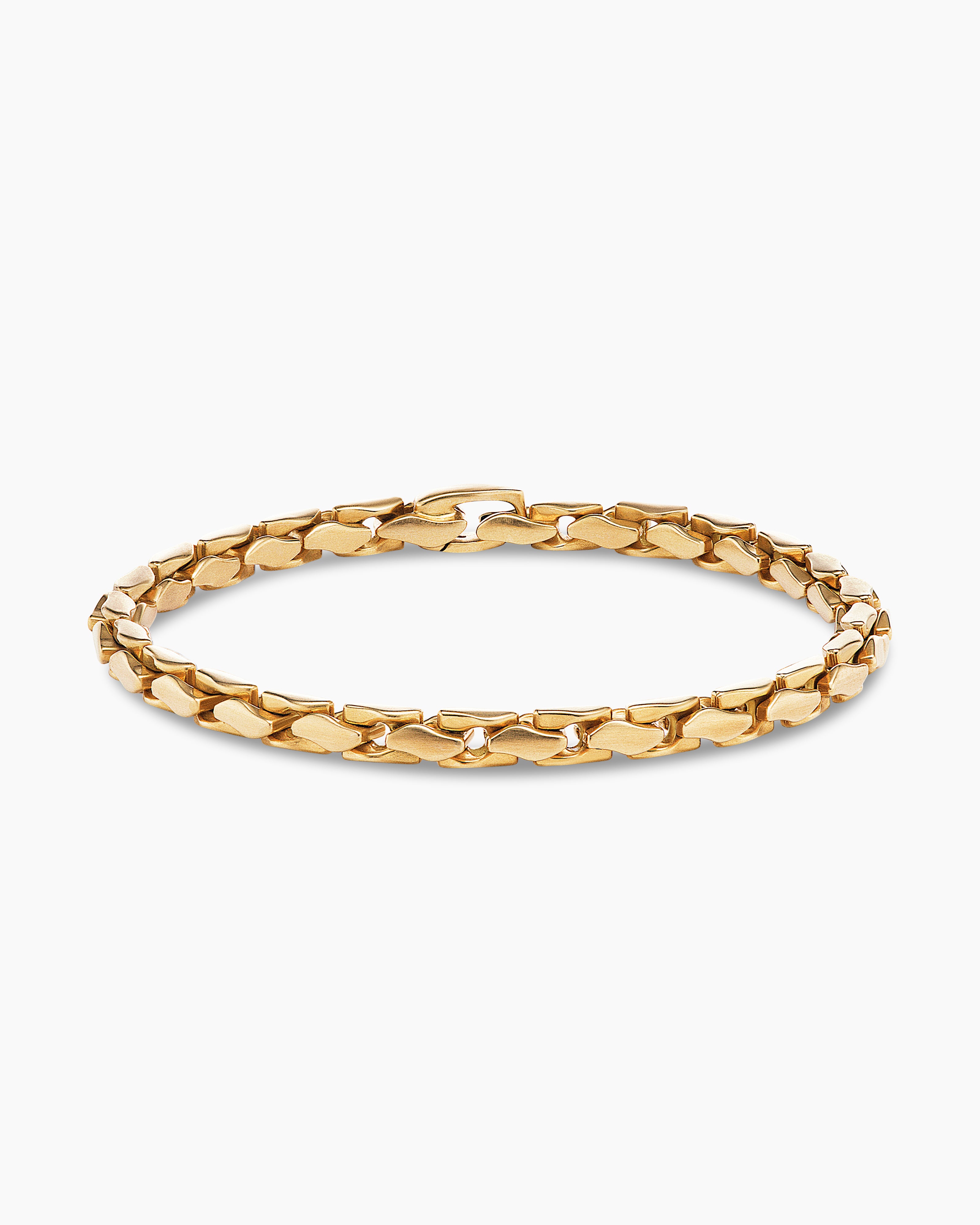 Chain Clasp Bangle Bracelet One Size / Gold