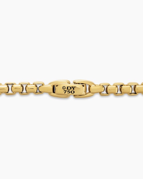 Mens Box Chain Necklace in 18K Yellow Gold, 5mm