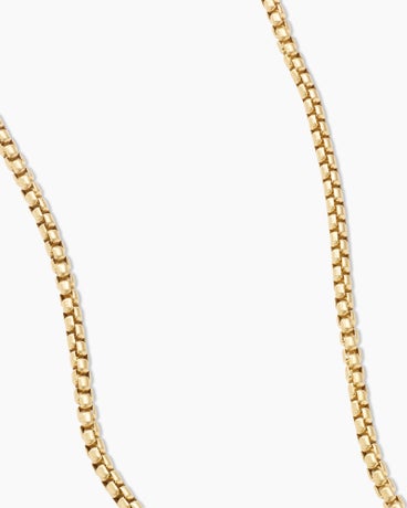 Box Chain Necklace in Brushed 18K Yellow Gold, 2.7mm