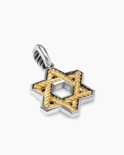 Mens Cable Star of David Amulet in Sterling Silver with 18K Yellow Gold, 19mm