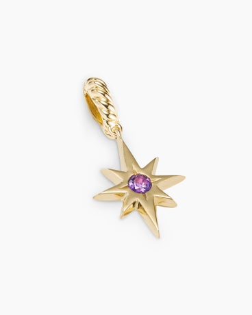 North Star Birthstone Amulet in 18K Yellow Gold with Amethyst, 15mm