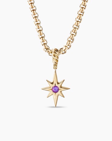North Star Birthstone Amulet in 18K Yellow Gold with Amethyst, 15mm