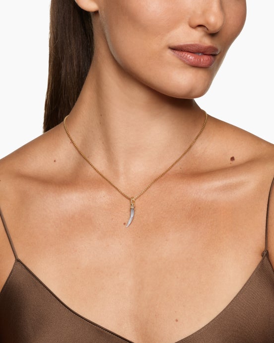 Petite Tusk Amulet in 18K Yellow Gold with Botswana Agate, 20.5mm