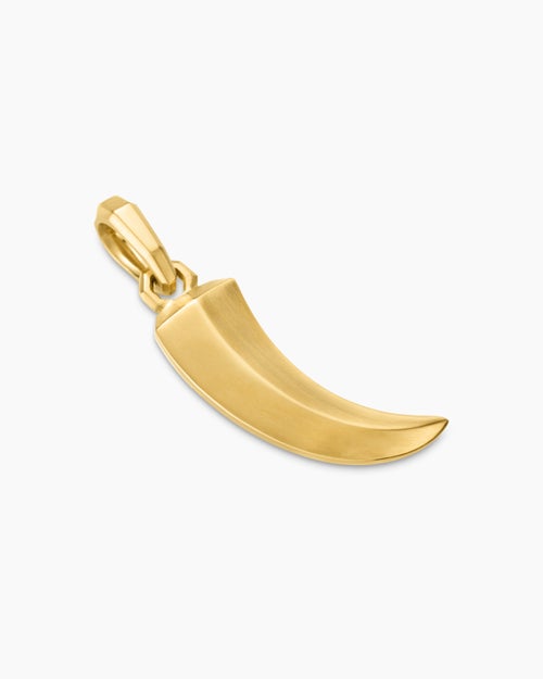 Mens Claw Amulet in 18K Yellow Gold, 25mm
