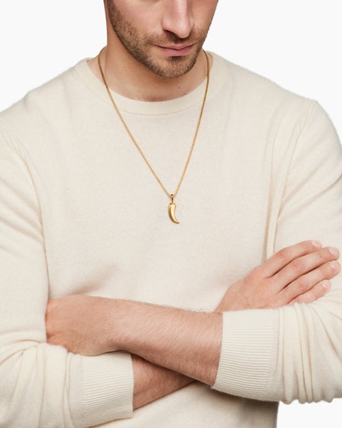 Mens Claw Amulet in 18K Yellow Gold, 25mm