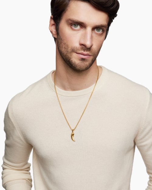 Mens Claw Amulet in 18K Yellow Gold, 25mm