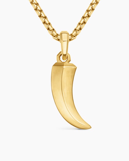 Mens Claw Amulet in 18K Yellow Gold, 25mm