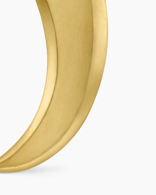 Mens Claw Amulet in 18K Yellow Gold with Diamonds, 25mm