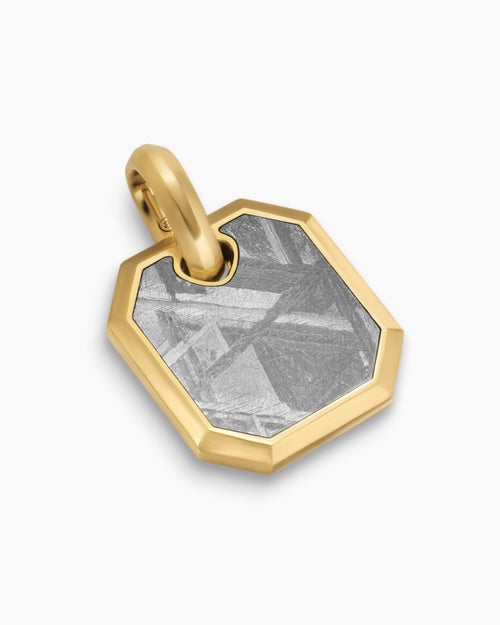 Mens Octagonal Amulet in 18K Yellow Gold with Meteorite, 15mm