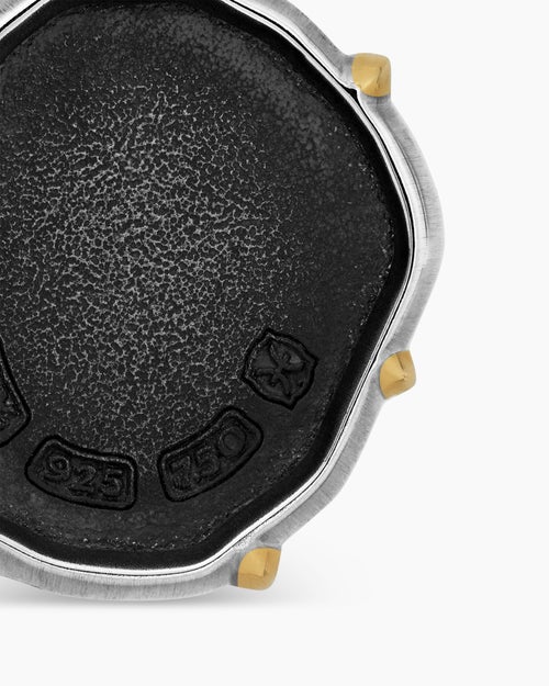 Mens Pisces Amulet in Sterling Silver with 18K Yellow Gold, 23mm