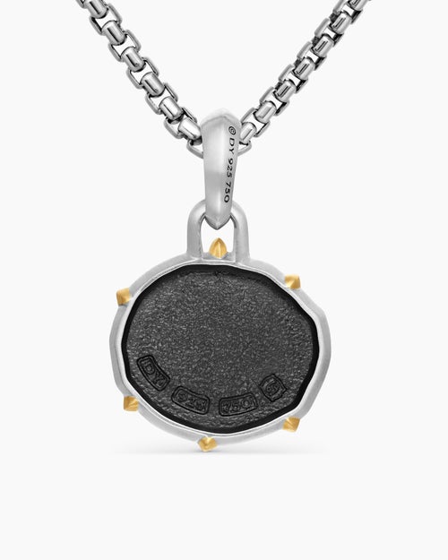 Mens Cancer Amulet in Sterling Silver with 18K Yellow Gold, 23mm