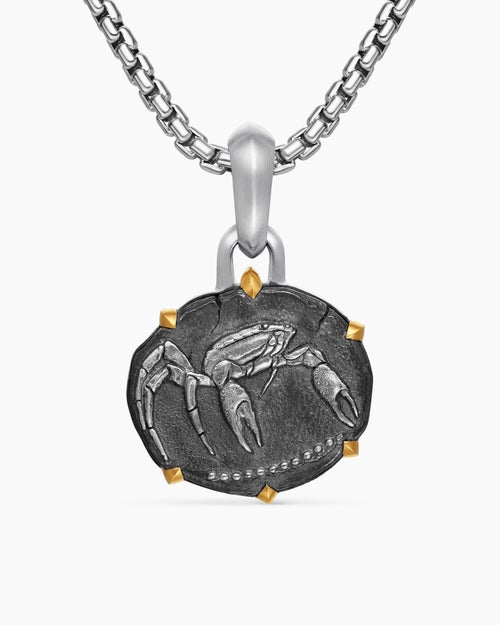 Mens Cancer Amulet in Sterling Silver with 18K Yellow Gold, 23mm