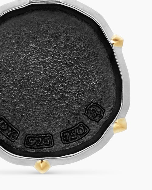 Mens Leo Amulet in Sterling Silver with 18K Yellow Gold, 23mm