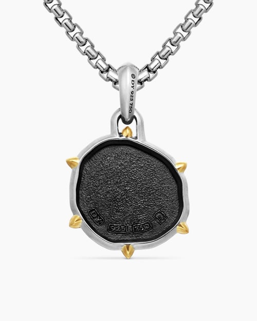 Mens Virgo Amulet in Sterling Silver with 18K Yellow Gold, 23mm