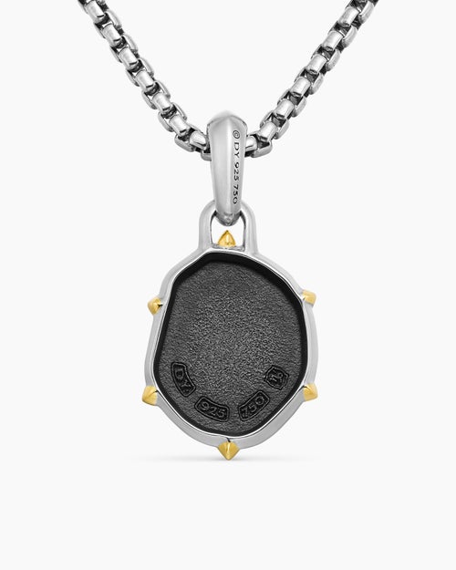 Mens Capricorn Amulet in Sterling Silver with 18K Yellow Gold, 23mm