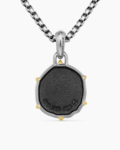 Mens Aquarius Amulet in Sterling Silver with 18K Yellow Gold, 23mm