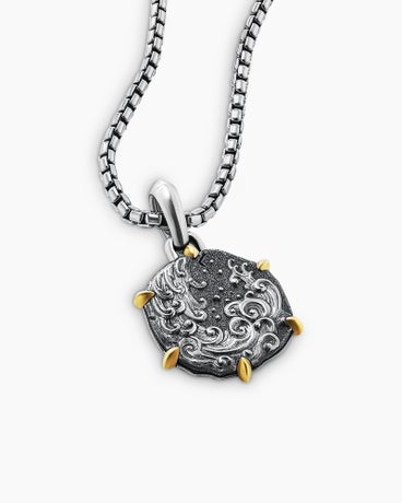 Aquarius Amulet in Sterling Silver with 18K Yellow Gold, 33mm