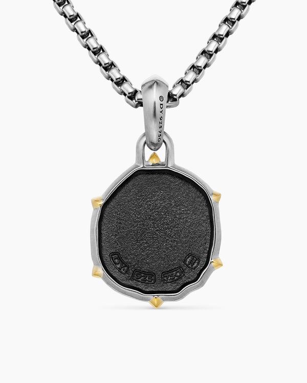 Amulette Verseau en argent sterling avec or jaune 18 carats, 23 mm