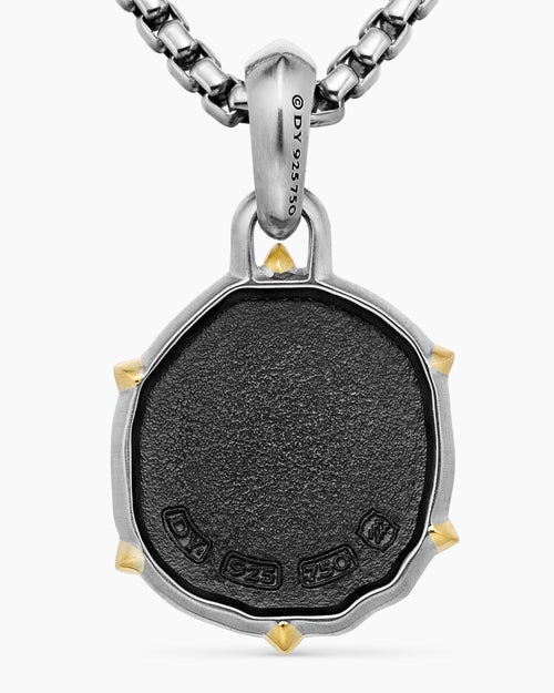 Mens Aquarius Amulet in Sterling Silver with 18K Yellow Gold, 23mm