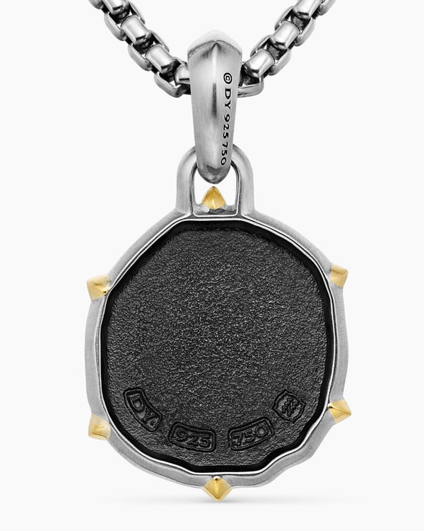 Amulette Verseau en argent sterling avec or jaune 18 carats, 23 mm