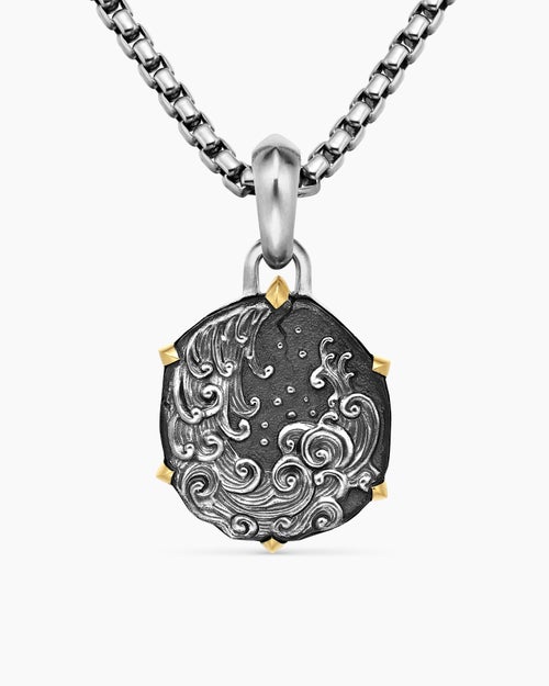 Mens Aquarius Amulet in Sterling Silver with 18K Yellow Gold, 23mm