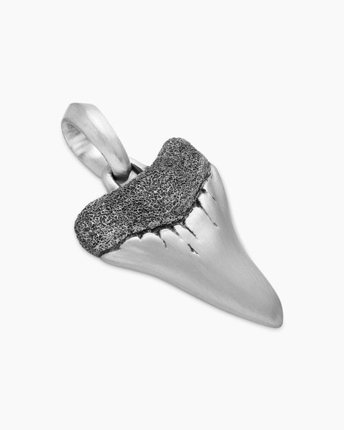 Mens Shark Tooth Amulet in Sterling Silver, 25.8mm