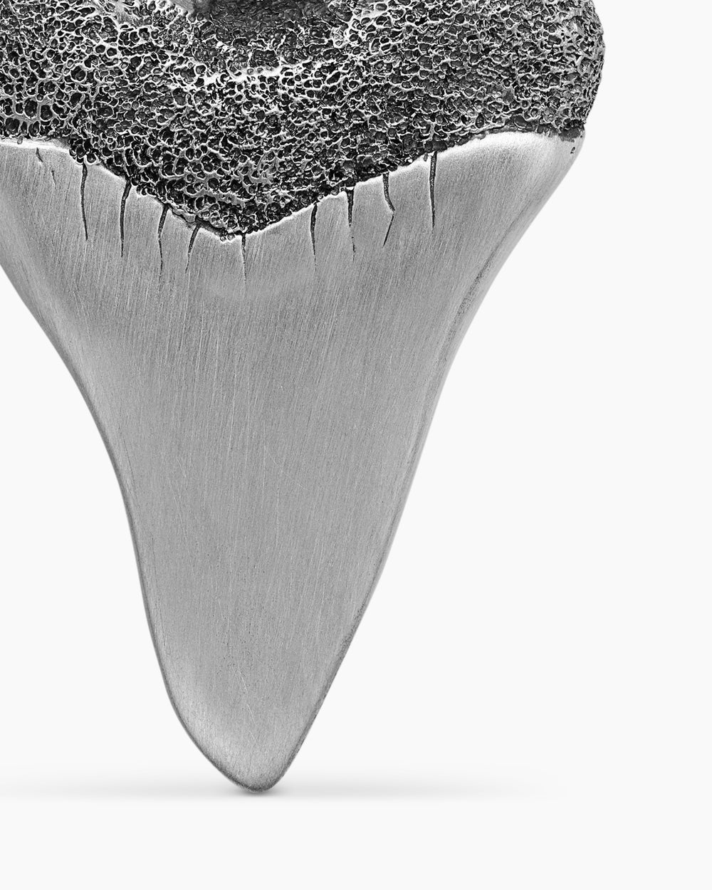 Amulette en forme de dent de requin en argent sterling, 25,8 mm hommes