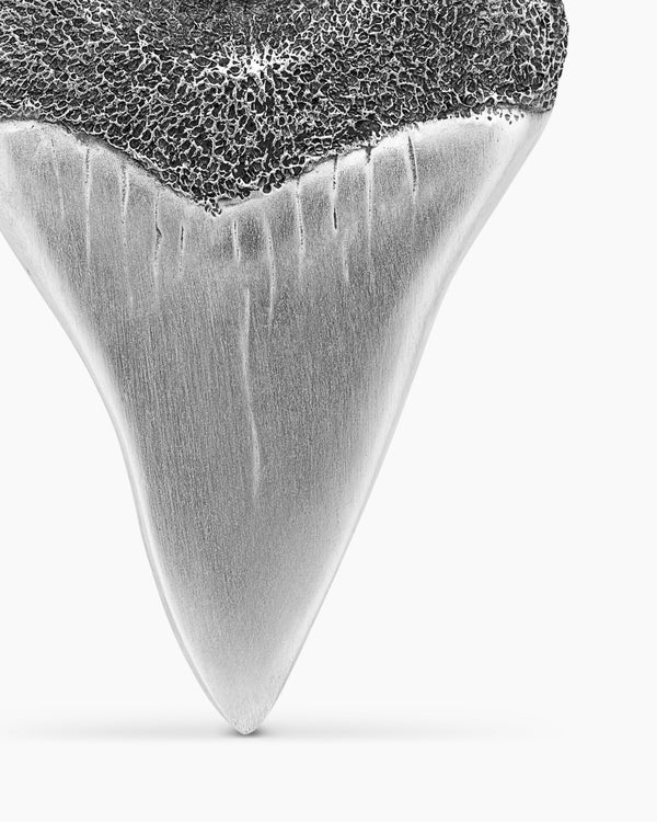 Shark Tooth Amulet in Sterling Silver with Black Diamonds, 25.8mm