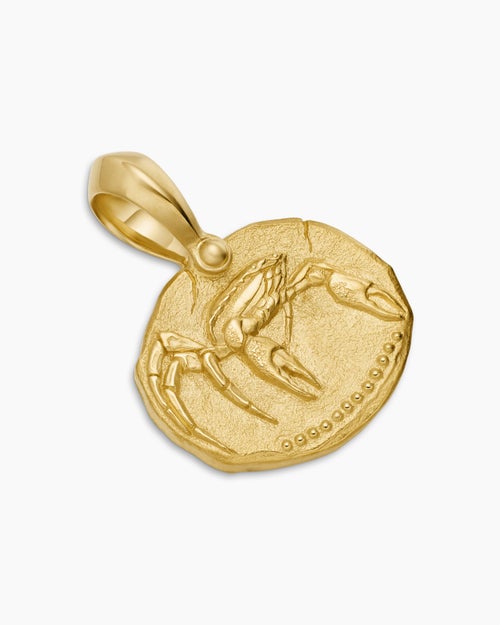 Mens Cancer Amulet in 18K Yellow Gold, 17mm