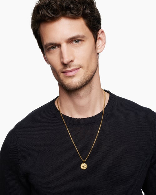 Mens Leo Amulet in 18K Yellow Gold, 17mm