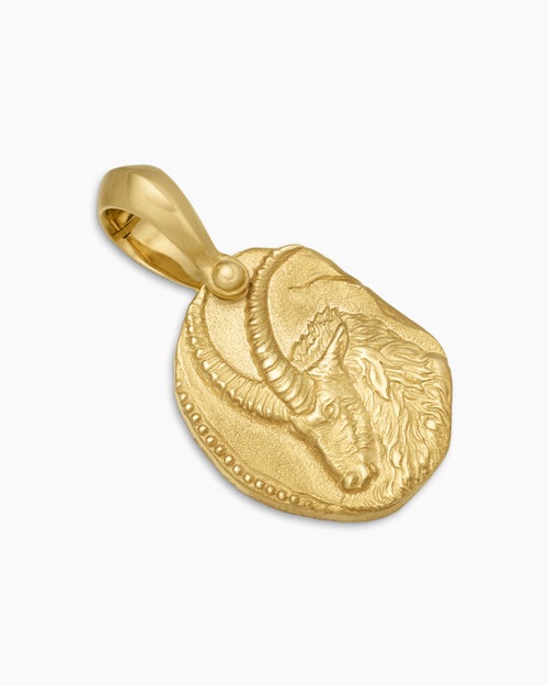 Mens Capricorn Amulet in 18K Yellow Gold, 17mm