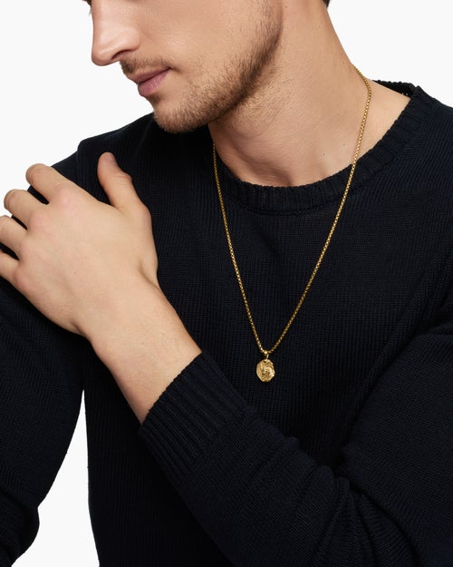 Mens Capricorn Amulet in 18K Yellow Gold, 17mm