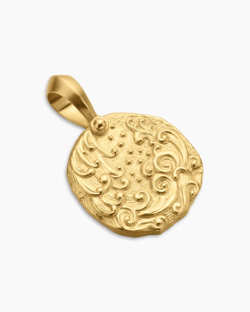 Mens Aquarius Amulet in 18K Yellow Gold, 17mm