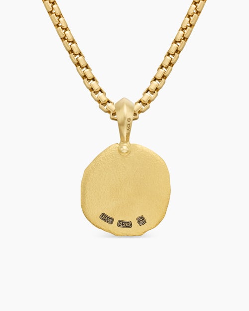 Mens Aquarius Amulet in 18K Yellow Gold, 17mm