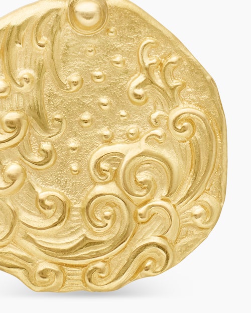 Mens Aquarius Amulet in 18K Yellow Gold, 17mm