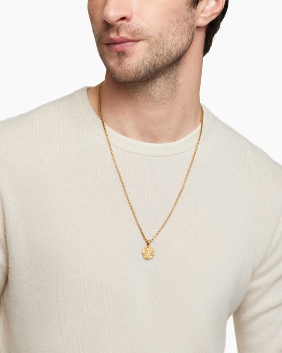 Aquarius Amulet in 18K Yellow Gold, 17mm