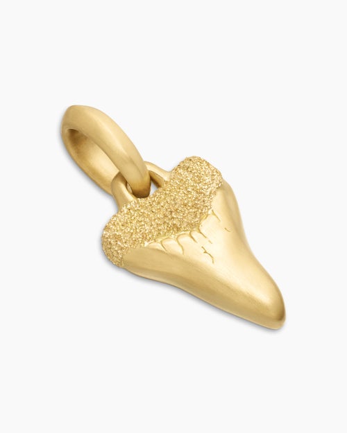 Mens Shark Tooth Amulet in 18K Yellow Gold, 17mm