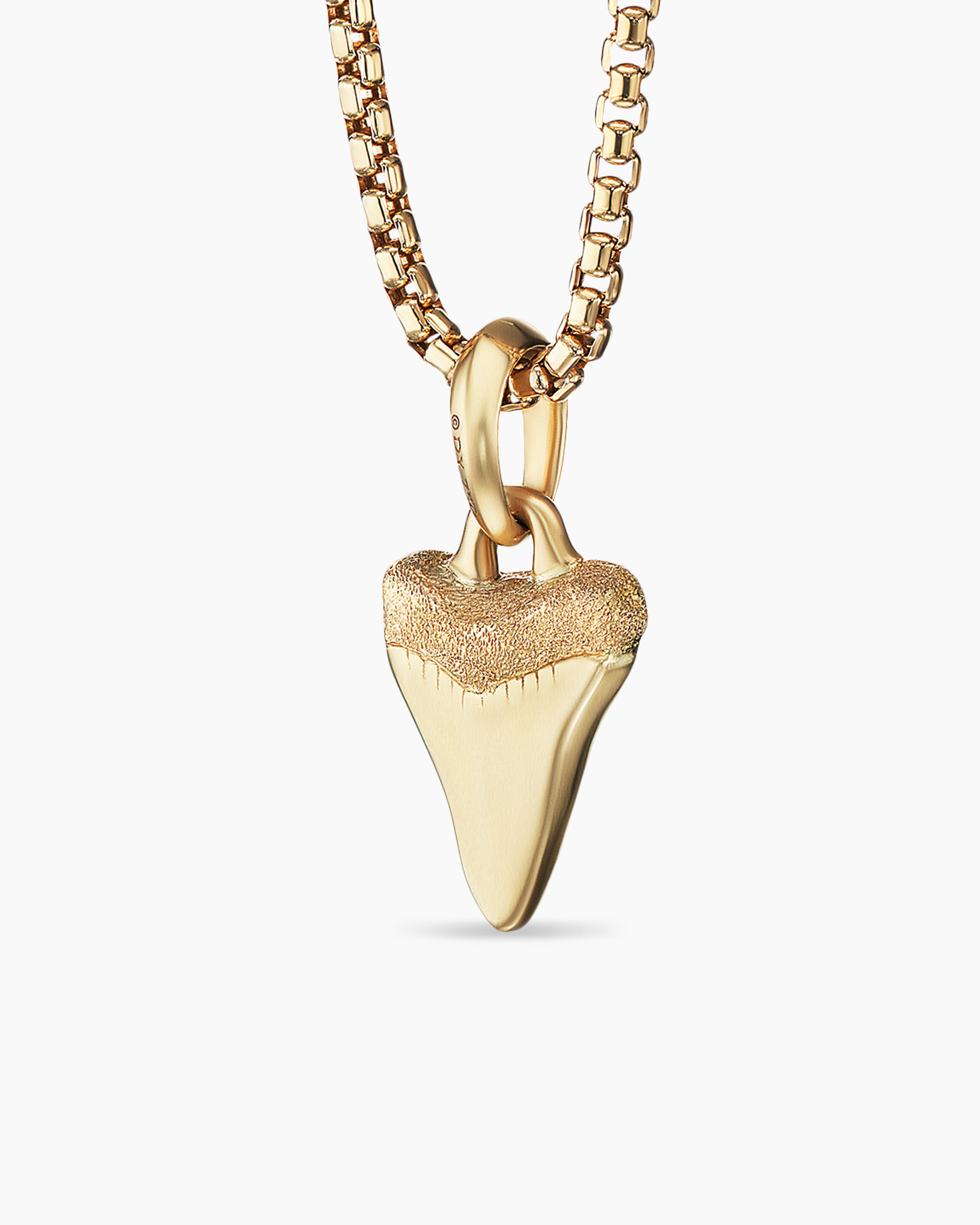Givenchy | Shark tooth necklace, Tooth necklace, Givenchy women