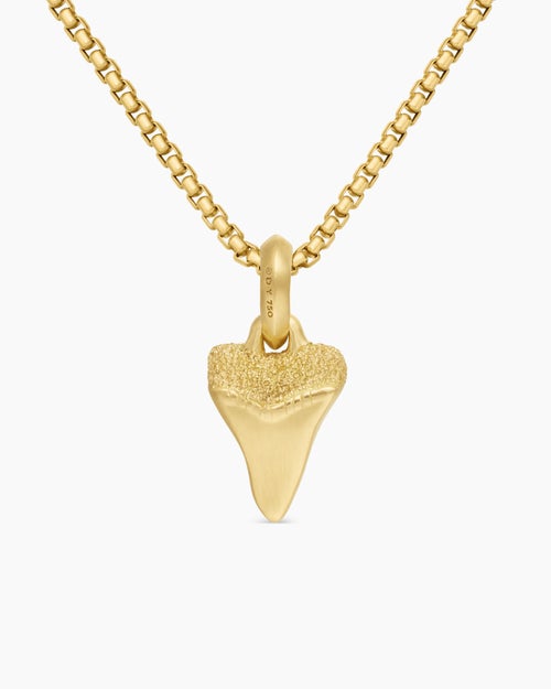 Mens Shark Tooth Amulet in 18K Yellow Gold, 17mm