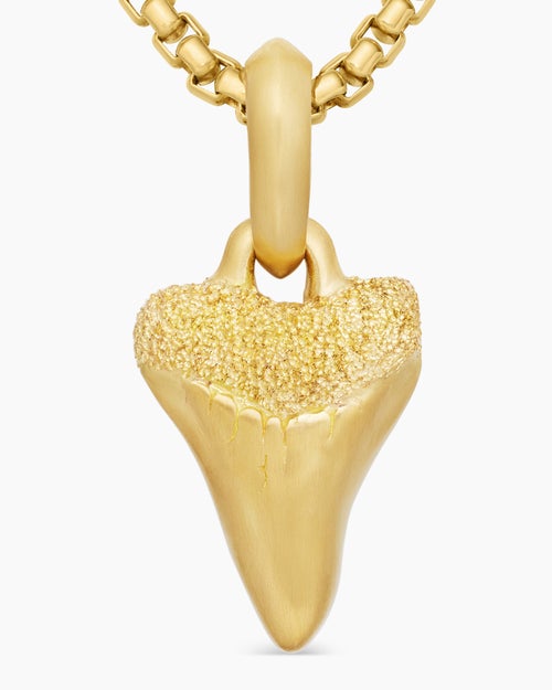 Mens Shark Tooth Amulet in 18K Yellow Gold, 17mm