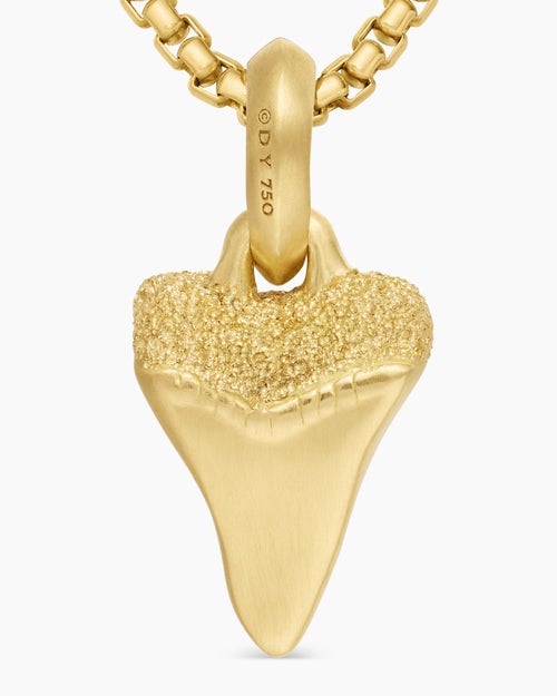 Mens Shark Tooth Amulet in 18K Yellow Gold, 17mm