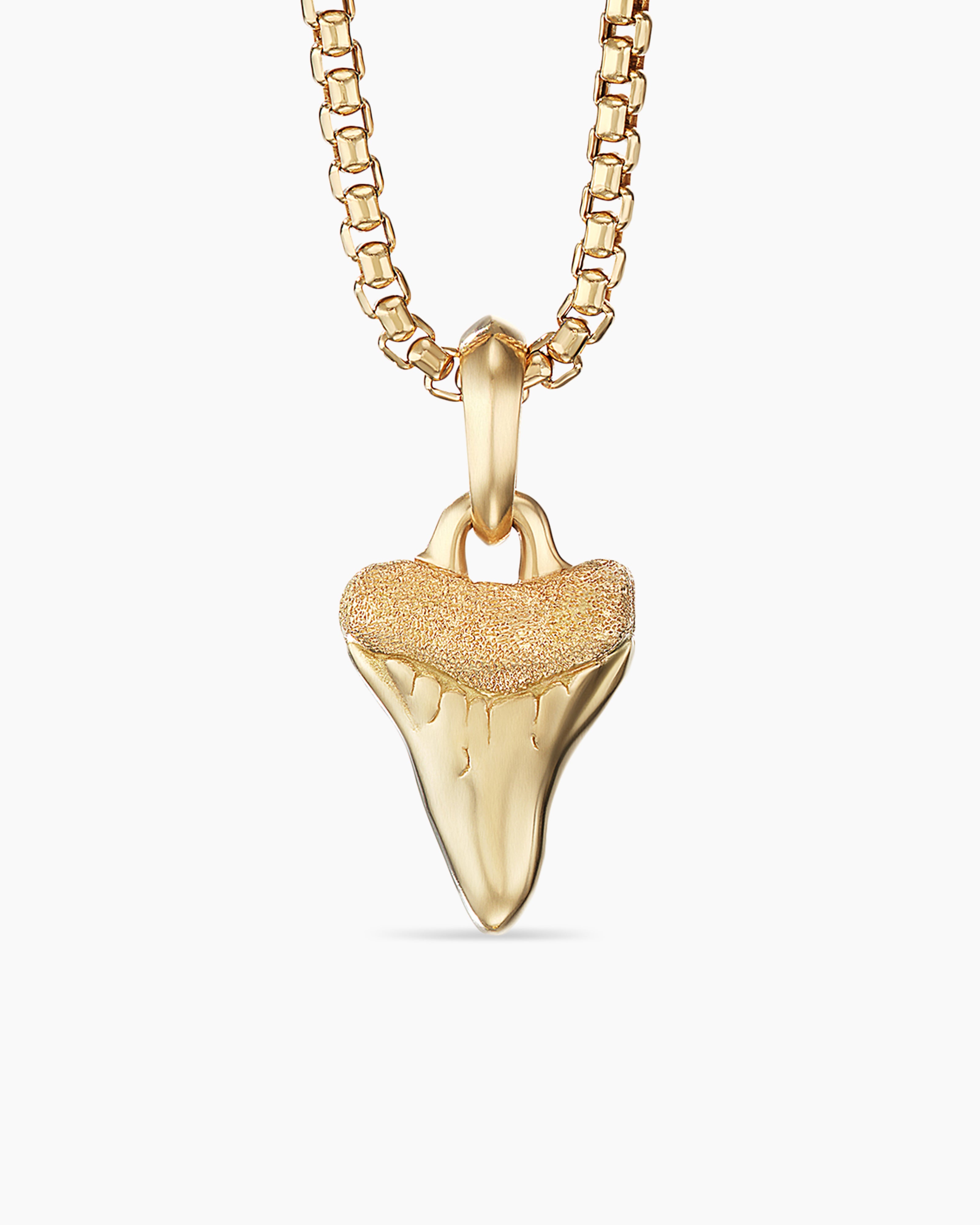 Gold Shark Tooth Necklace — Authentic Fossil Jewelry | Foxy Fossils