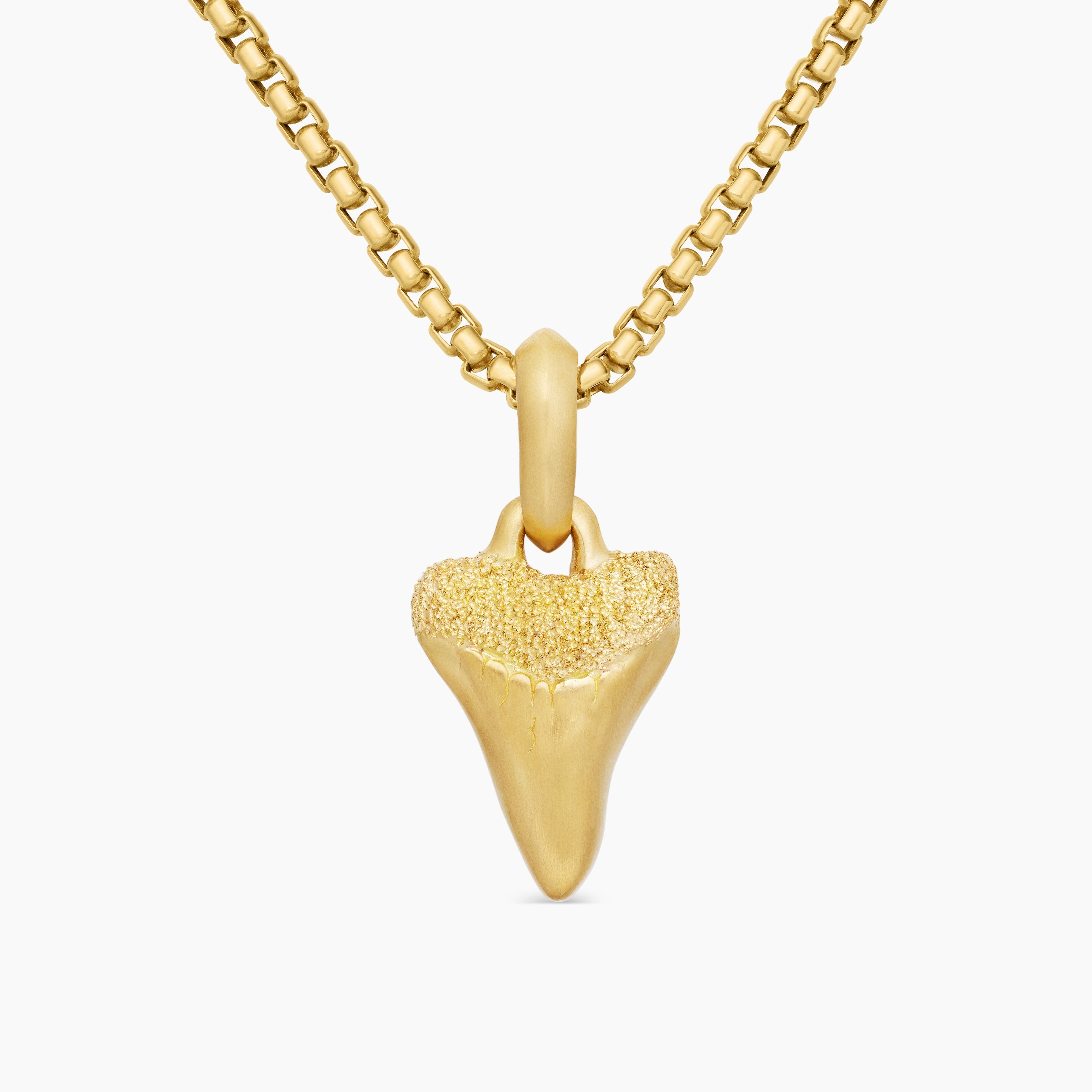 Mens Shark Tooth Amulet in 18K Yellow Gold, 17mm