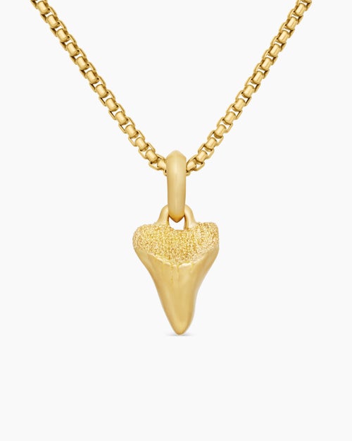 Mens Shark Tooth Amulet in 18K Yellow Gold, 17mm