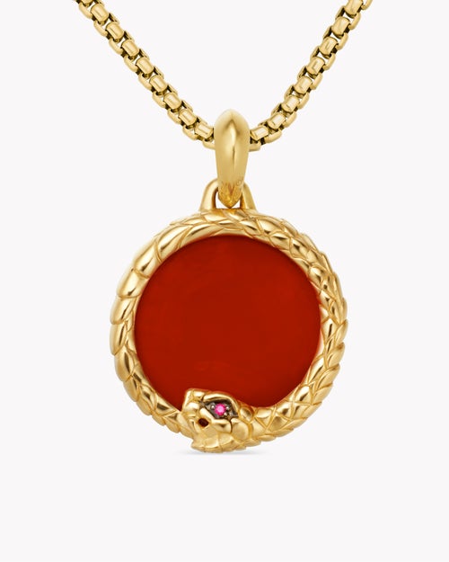 Mens Ouroboros Amulet in 18K Yellow Gold with Carnelian and Ruby, 25mm