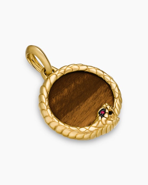 Mens Ouroboros Amulet in 18K Yellow Gold with Tiger’s Eye and Ruby, 25mm