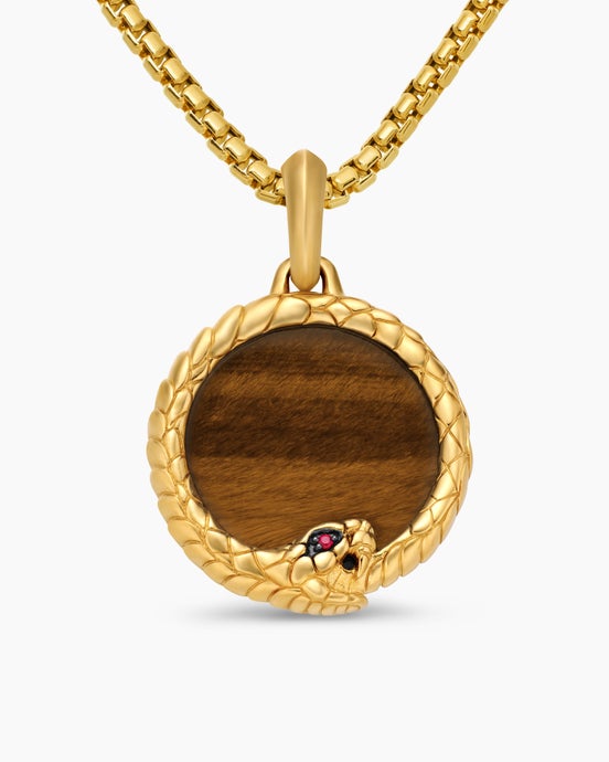 Ouroboros Amulet in 18K Yellow Gold with Tiger’s Eye and Ruby, 25mm